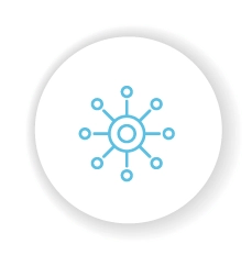 Connectivity: SD-WAN, LAN and WiFi Retail Ecosystem Connectivity - SD-WAN, LAN and WiFi